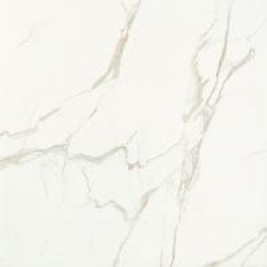 Gạch Trường Thịnh BLACK & WHITE FASHION Y980853P